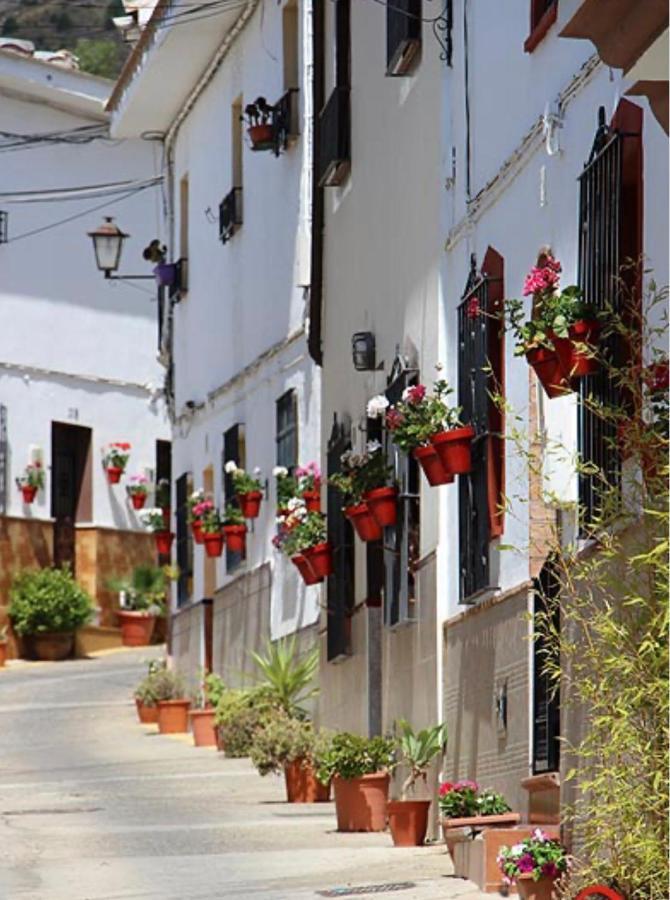 Mirasierrahome... Tu Hogar De Vacaciones! Álora Eksteriør billede